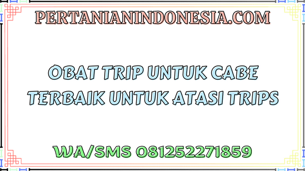 Obat Trip Untuk Cabe Terbaik Untuk Atasi Trips